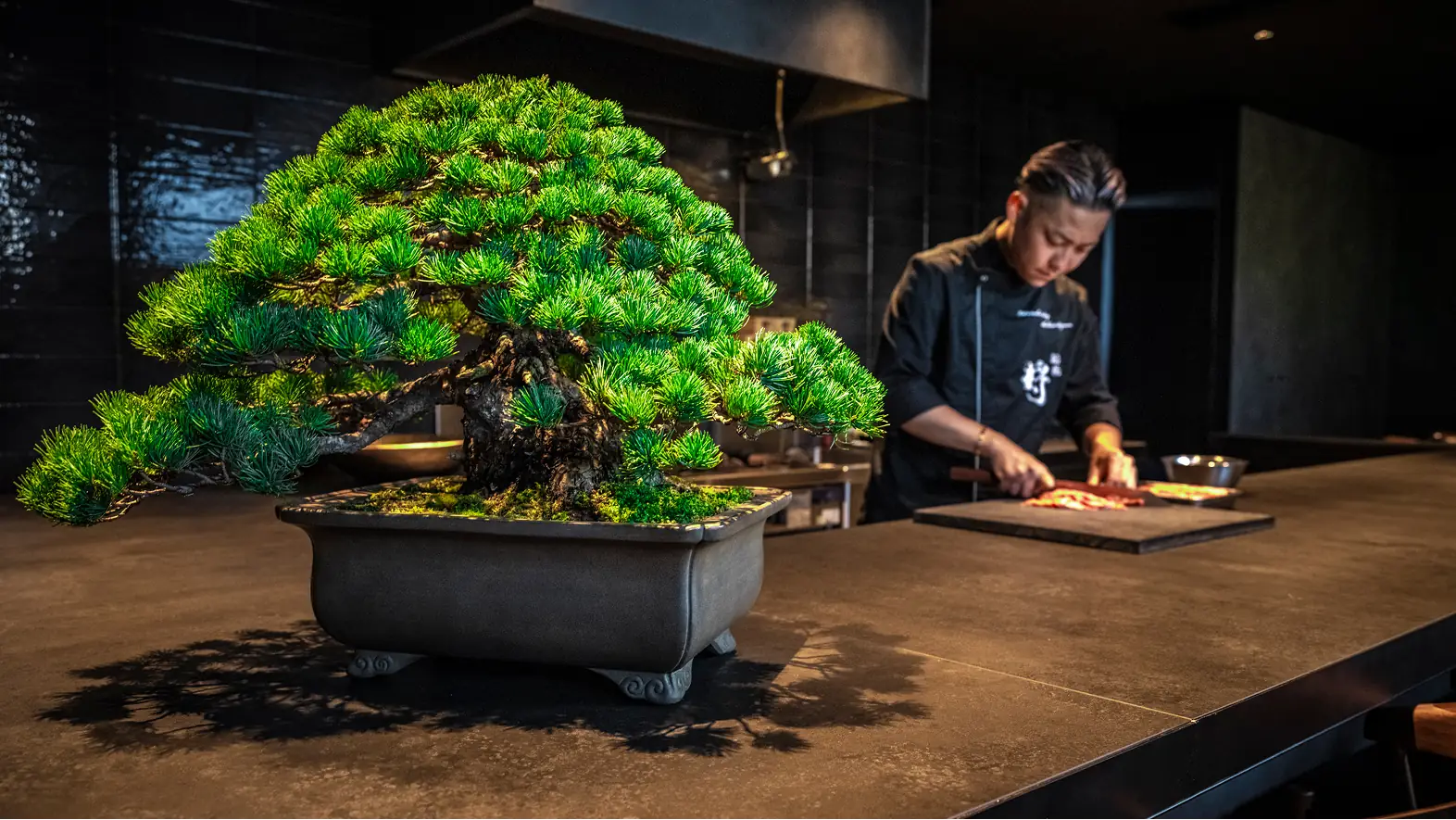 月極リース用盆栽